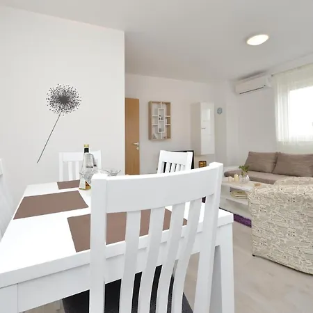 Vrsi-mulo 12 ורסי